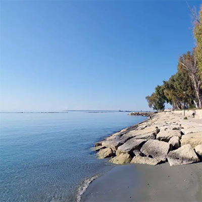 ZimaEast_400x400_03